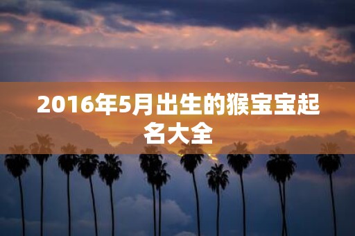 2016年5月出生的猴宝宝起名大全