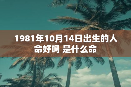 1981年10月14日出生的人命好吗 是什么命