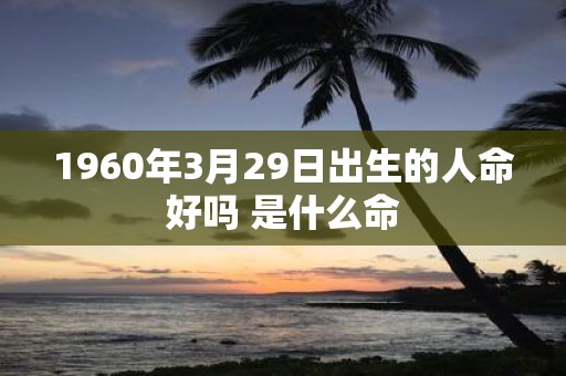 1960年3月29日出生的人命好吗 是什么命