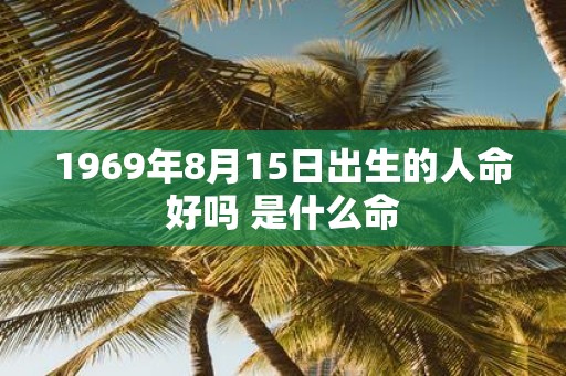 1969年8月15日出生的人命好吗 是什么命