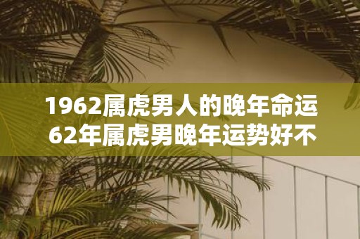 1962属虎男人的晚年命运 62年属虎男晚年运势好不好