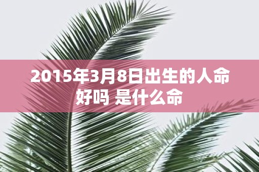 2015年3月8日出生的人命好吗 是什么命
