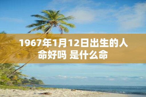1967年1月12日出生的人命好吗 是什么命