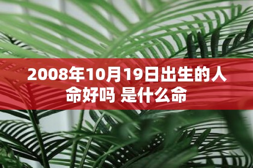2008年10月19日出生的人命好吗 是什么命