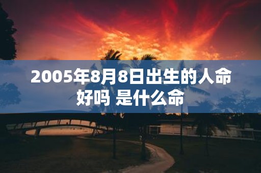 2005年8月8日出生的人命好吗 是什么命