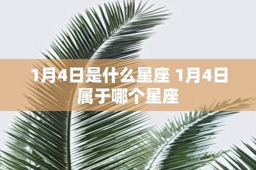 1月4日是什么星座 1月4日属于哪个星座