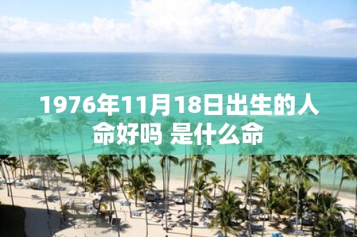1976年11月18日出生的人命好吗 是什么命