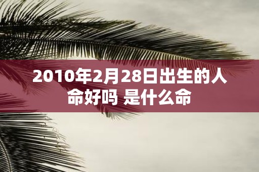 2010年2月28日出生的人命好吗 是什么命