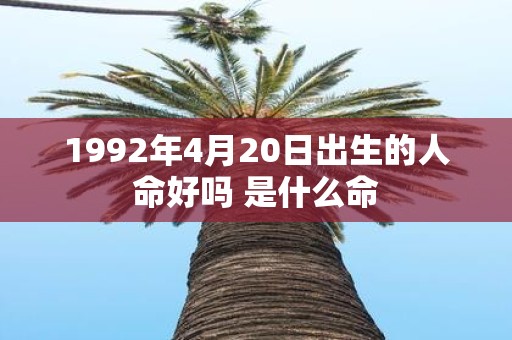 1992年4月20日出生的人命好吗 是什么命