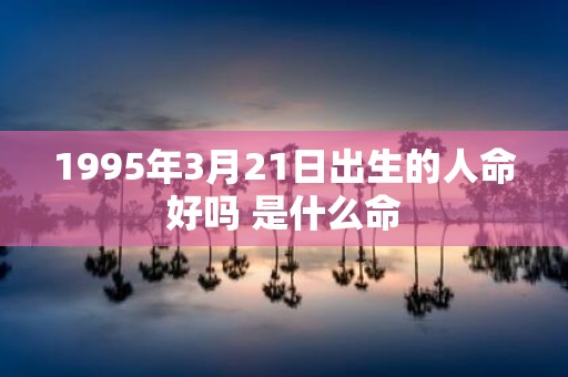 1995年3月21日出生的人命好吗 是什么命