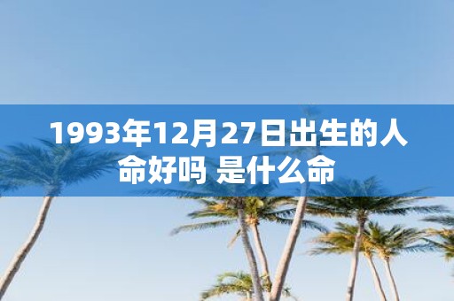 1993年12月27日出生的人命好吗 是什么命