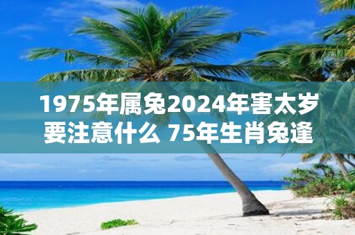 1975年属兔2025年害太岁要注意什么 75年生肖兔逢蛇年运气如何