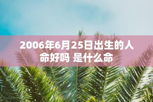 2006年6月25日出生的人命好吗 是什么命