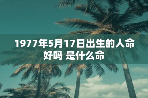 1977年5月17日出生的人命好吗 是什么命