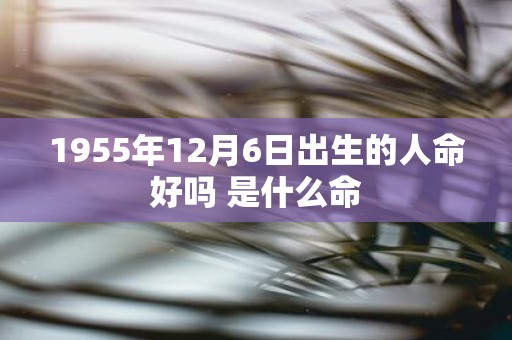 1955年12月6日出生的人命好吗 是什么命