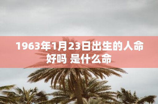 1963年1月23日出生的人命好吗 是什么命