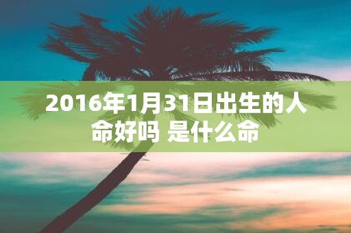 2016年1月31日出生的人命好吗 是什么命