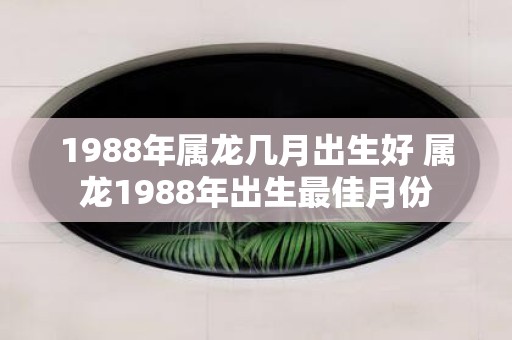 1988年属龙几月出生好 属龙1988年出生最佳月份