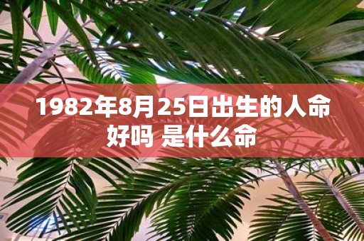1982年8月25日出生的人命好吗 是什么命