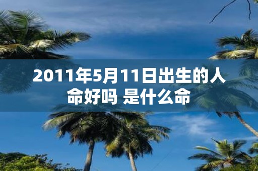 2011年5月11日出生的人命好吗 是什么命