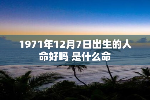 1971年12月7日出生的人命好吗 是什么命