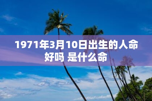 1971年3月10日出生的人命好吗 是什么命