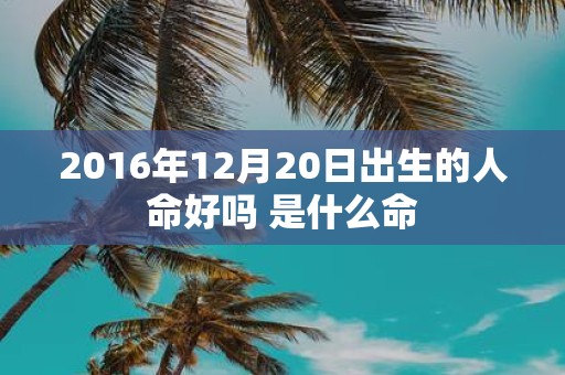 2016年12月20日出生的人命好吗 是什么命