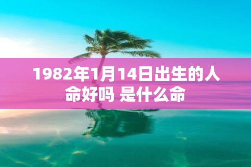 1982年1月14日出生的人命好吗 是什么命