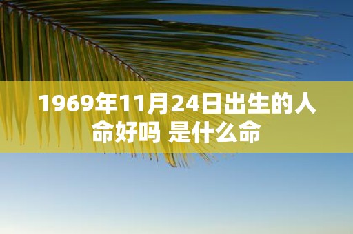1969年11月24日出生的人命好吗 是什么命