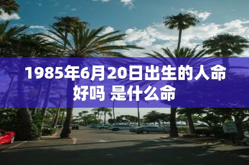 1985年6月20日出生的人命好吗 是什么命