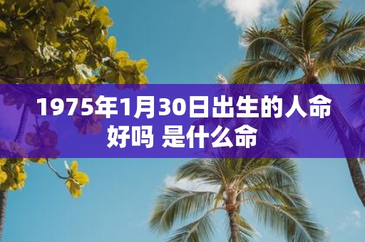 1975年1月30日出生的人命好吗 是什么命