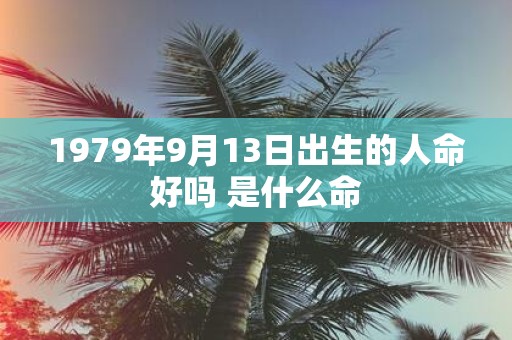 1979年9月13日出生的人命好吗 是什么命