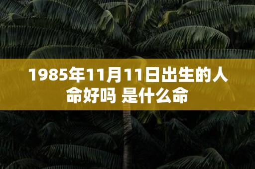 1985年11月11日出生的人命好吗 是什么命