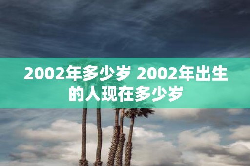 2002年多少岁 2002年出生的人现在多少岁