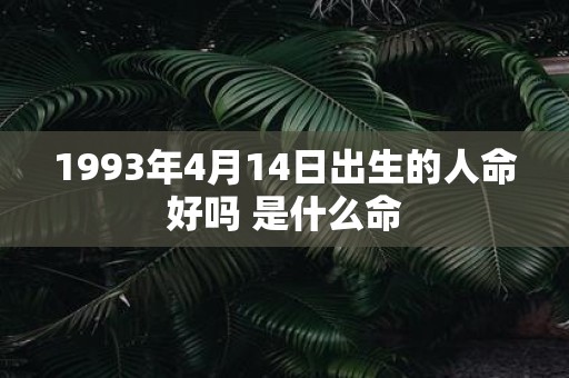 1993年4月14日出生的人命好吗 是什么命
