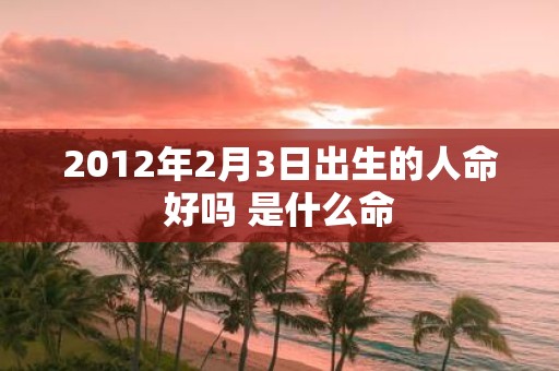 2012年2月3日出生的人命好吗 是什么命