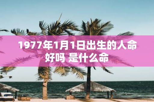1977年1月1日出生的人命好吗 是什么命