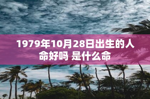 1979年10月28日出生的人命好吗 是什么命
