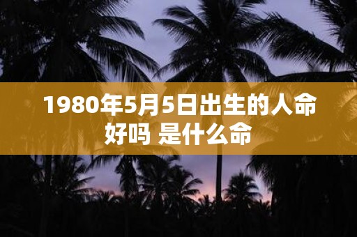 1980年5月5日出生的人命好吗 是什么命