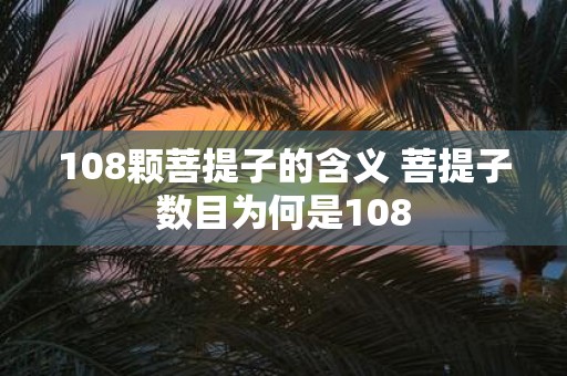 108颗菩提子的含义 菩提子数目为何是108