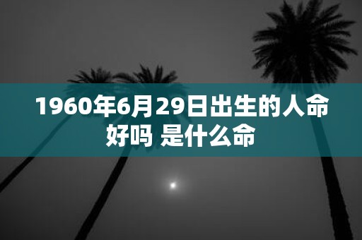 1960年6月29日出生的人命好吗 是什么命