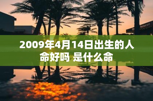 2009年4月14日出生的人命好吗 是什么命
