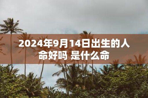 2025年9月14日出生的人命好吗 是什么命