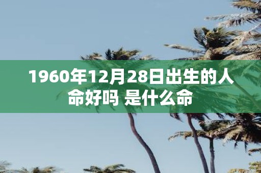 1960年12月28日出生的人命好吗 是什么命