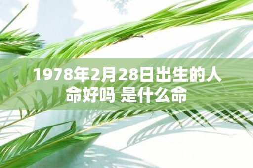 1978年2月28日出生的人命好吗 是什么命