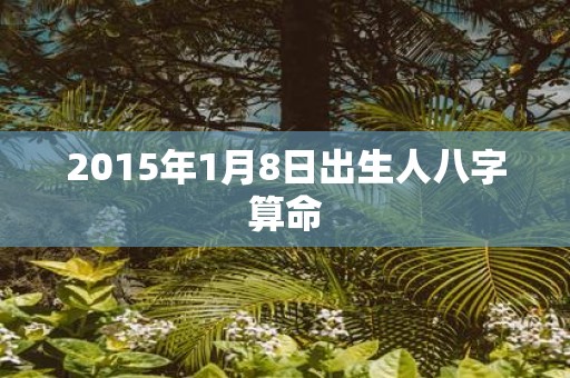 2015年1月8日出生人八字算命