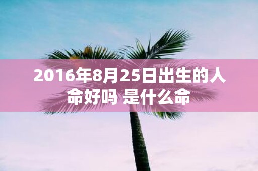 2016年8月25日出生的人命好吗 是什么命