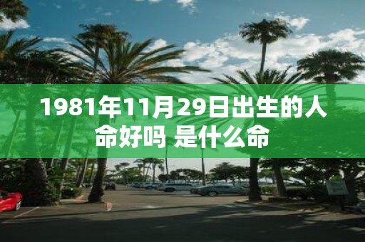 1981年11月29日出生的人命好吗 是什么命