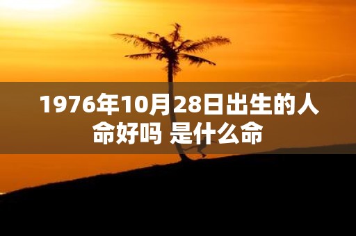 1976年10月28日出生的人命好吗 是什么命