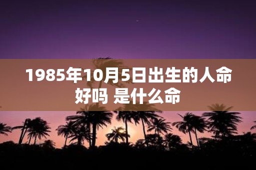 1985年10月5日出生的人命好吗 是什么命